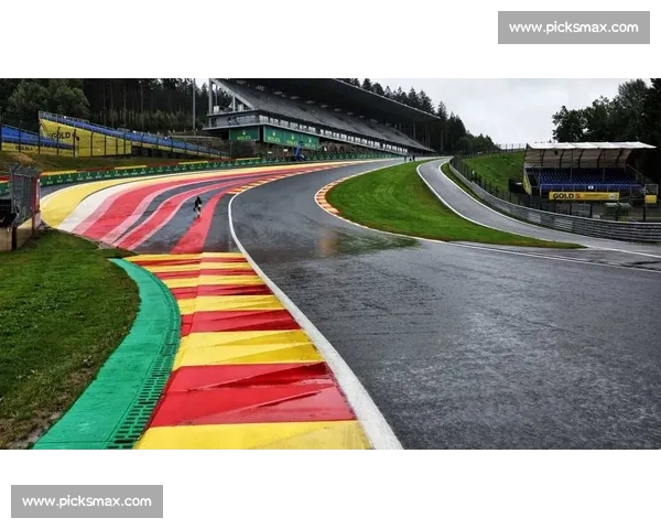 F1赛道上的王者之路,冠军荣耀的来之不易 F1赛道上的王者之路,冠军荣耀的来之不易