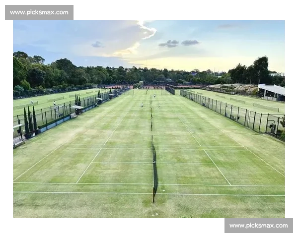 从草地到硬地,不同场地上的网球策略大不同! 从草地到硬地,不同场地上的网球策略大不同!