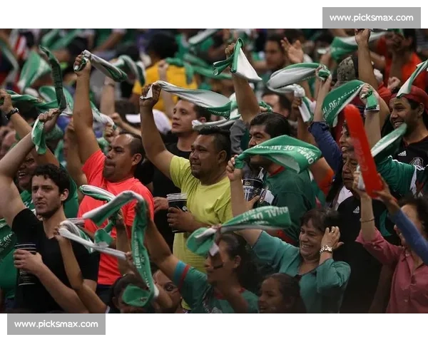 球迷狂欢！某国时隔多年重返世界杯资格赛，期待值爆棚！